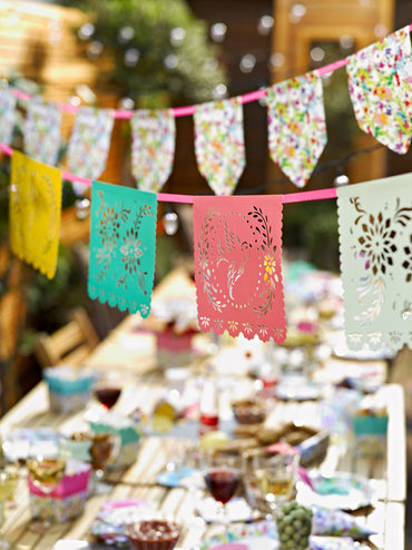 Mexican Bunting