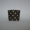 Scallop Edge Baking/Muffin Cups: Large - Stripes, Spots & Stars: Pack of 20