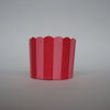 Scallop Edge Baking/Muffin Cups: Large - Stripes, Spots & Stars: Pack of 20