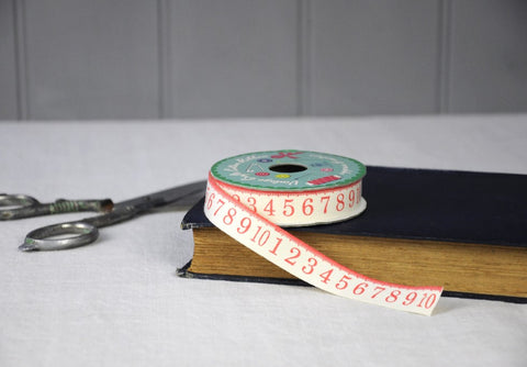 Ribbon: Tape Measure - 20mm 6m