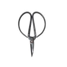 Scissors: Traditional Utility Scissors